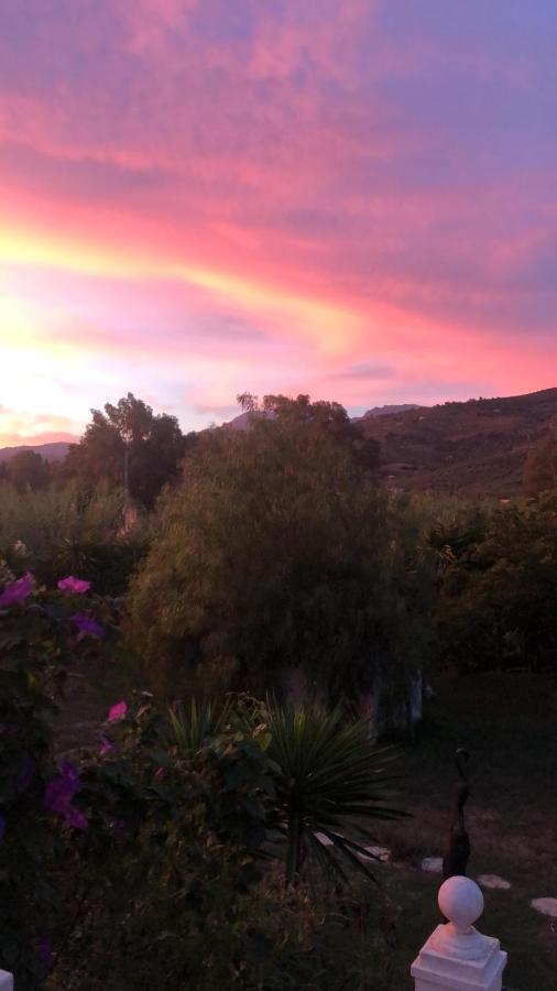 Finca El Rio, The Studio Self Catering With Pool And Hydrotherapy Jacuzzi Set In Beautiful Gardens, Guaro Exterior foto