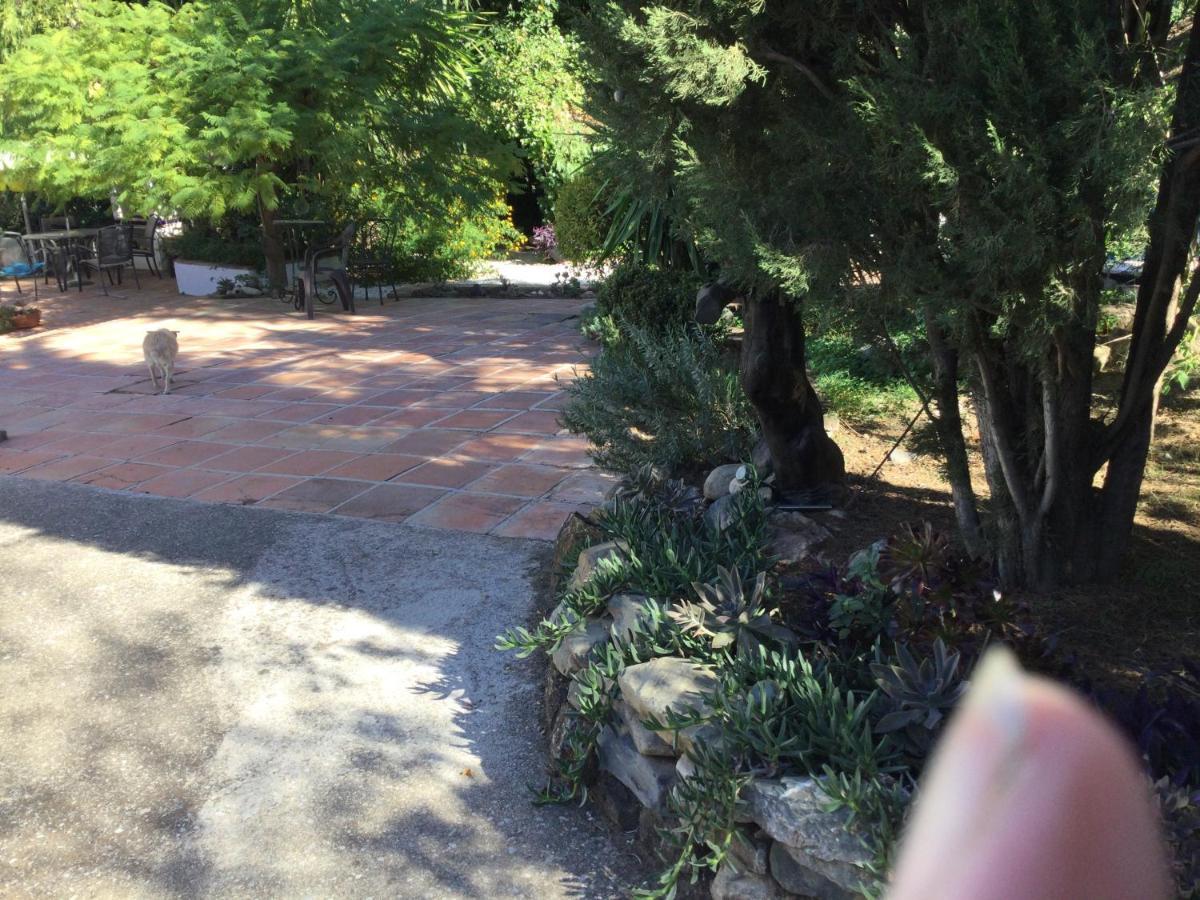 Finca El Rio, The Studio Self Catering With Pool And Hydrotherapy Jacuzzi Set In Beautiful Gardens, Guaro Exterior foto