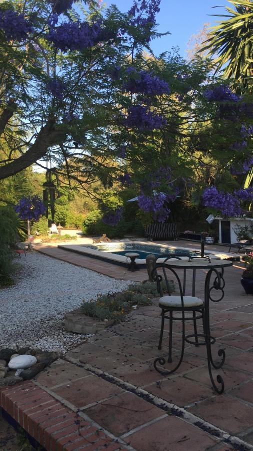 Finca El Rio, The Studio Self Catering With Pool And Hydrotherapy Jacuzzi Set In Beautiful Gardens, Guaro Exterior foto