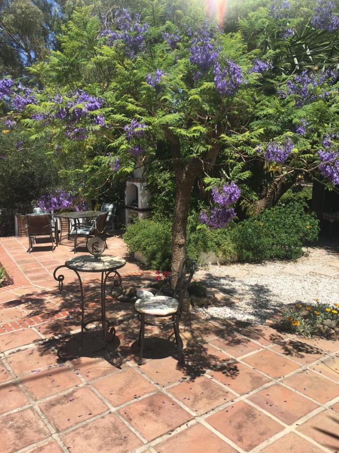 Finca El Rio, The Studio Self Catering With Pool And Hydrotherapy Jacuzzi Set In Beautiful Gardens, Guaro Exterior foto